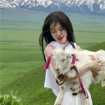 糖小姐探案集